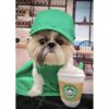 Star Pups Juguete de café para perro con leche de
