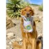 Star Pups Juguete de café para perro con leche de