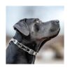 Sprenger ClicLock Hebilla de acero inoxidable para collar_5