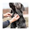 Sprenger ClicLock Hebilla de acero inoxidable para collar_6
