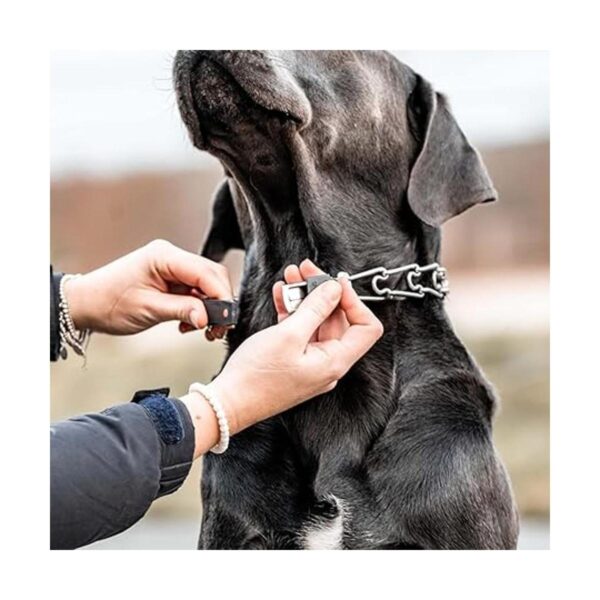 Sprenger ClicLock Hebilla de acero inoxidable para collar_6