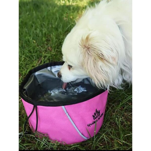 Spoiled Icono Cuenco plegable para perros y alimentos_6