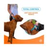 SparklyPets Collar de perro resistente con asa para perros_3