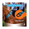 SparklyPets Collar de perro resistente con asa para perros_4