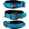 SparklyPets Collar de perro resistente con asa para perros_1