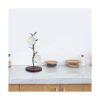 Soporte para tazas árbol para tazas de encimera estante_5