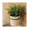Soporte para plantas de 5.9 in montado en la pared 6