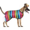 Sombrero para perro sombrero para mascotas disfraz_6