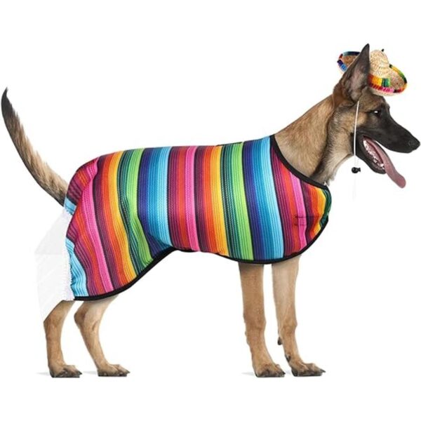 Sombrero para perro sombrero para mascotas disfraz_6