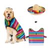 Sombrero para perro sombrero para mascotas disfraz_1