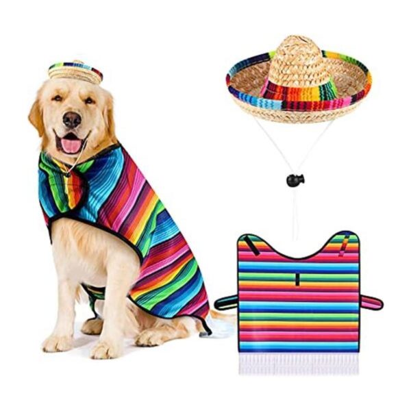 Sombrero para perro sombrero para mascotas disfraz_1