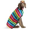Sombrero para perro sombrero para mascotas disfraz_5