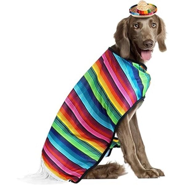 Sombrero para perro sombrero para mascotas disfraz_5