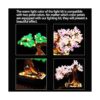 Solo kit de iluminación LED juego de luces Kyglaring_3