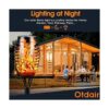 Solar Torch Lights with Flickering Flame 16 Packs 12LED_5