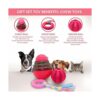 SoSoCute Juego de regalo para perros juego de 5 juguetes_4