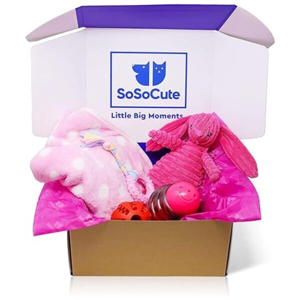 SoSoCute Juego de regalo para perros juego de 5 juguetes_1