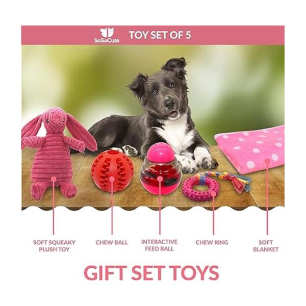 SoSoCute Juego de regalo para perros juego de 5 juguetes_3
