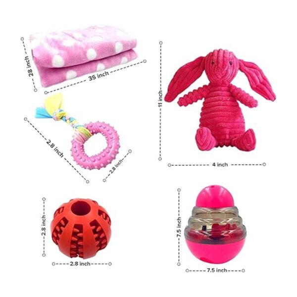 SoSoCute Juego de regalo para perros juego de 5 juguetes_6