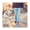 Sjane Lazos para perro 50 unidades delicados varios