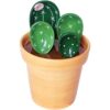 Sizikato 4 cucharas medidoras de porcelana con base_1