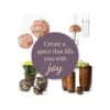 Serene Spaces Living Juego de 12 adornos de cristal