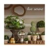 Serene Spaces Living Juego de 12 adornos de cristal