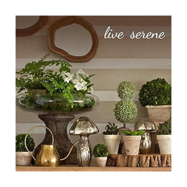 Serene Spaces Living Juego de 12 adornos de cristal