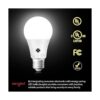 Sengled Paquete de 3 bombillas LED de anochecer a
