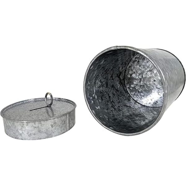 ScienceBuy Moneda galvanizada con ranura para monedas y