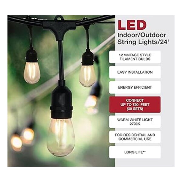 Satco S8020 Juego de luces LED para exteriores 12 luces