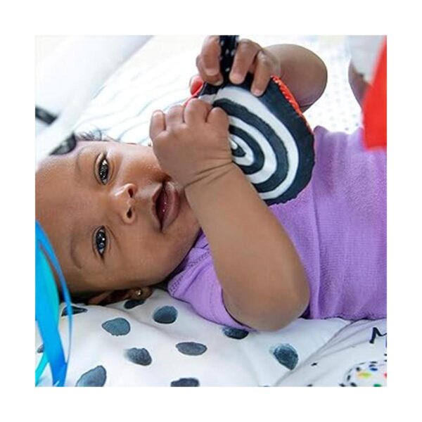 Sassy Look Learn Baby Box Más de 0 meses_5