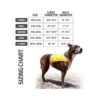 SafetyPUP XD Lite Chaleco para perro cobertura a media_2