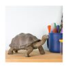 Safari Ltd Incredible Creatures Galapagos Tortoise de_5