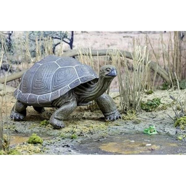Safari Ltd Incredible Creatures Galapagos Tortoise de_4
