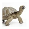 Safari Ltd Incredible Creatures Galapagos Tortoise de_3