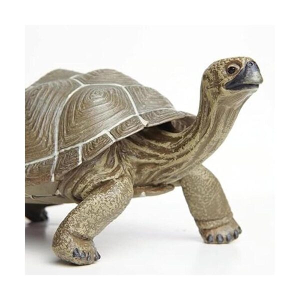 Safari Ltd Incredible Creatures Galapagos Tortoise de_3