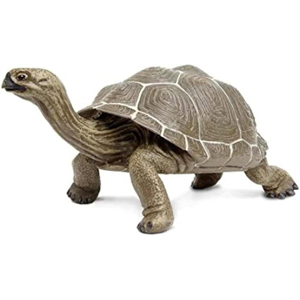 Safari Ltd Incredible Creatures Galapagos Tortoise de
