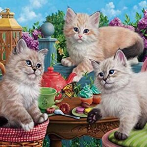 SUNSOUT INC Kitten Tea Party 500 piezas rompecabezas_1