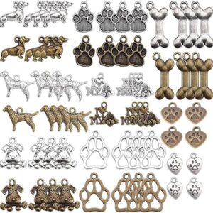 SUNNYCLUE 1 caja de 64 dijes para perros y mascotas