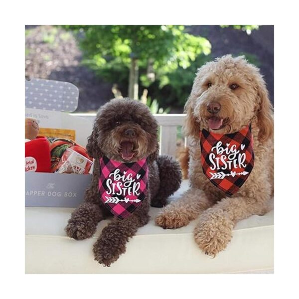 STMK Bandana para perro con diseño de cuadros de Big