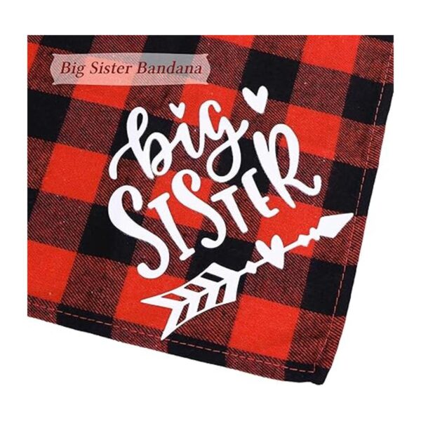 STMK Bandana para perro con diseño de cuadros de Big