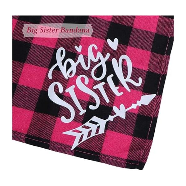 STMK Bandana para perro con diseño de cuadros de Big