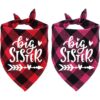 STMK Bandana para perro con diseño de cuadros de Big
