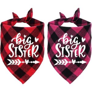 STMK Bandana para perro con diseño de cuadros de Big