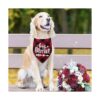 STMK Bandana para perro con diseño de cuadros de Big