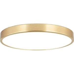 SOTTAE Lámpara de techo LED de montaje empotrado de oro_1