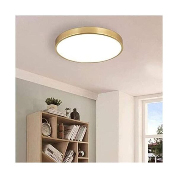 SOTTAE Lámpara de techo LED de montaje empotrado de oro_3