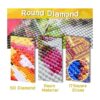 SKRYUIE Kit de pintura de diamantes 5D con flores moradas