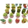 SIX VANKA Plantas en maceta en miniatura decoración de